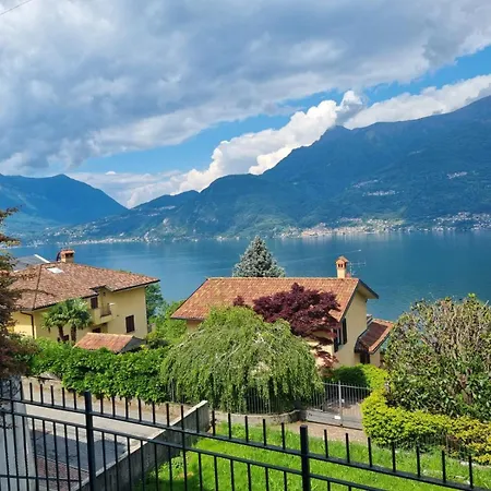 With Garden And Terrace Beautiful View